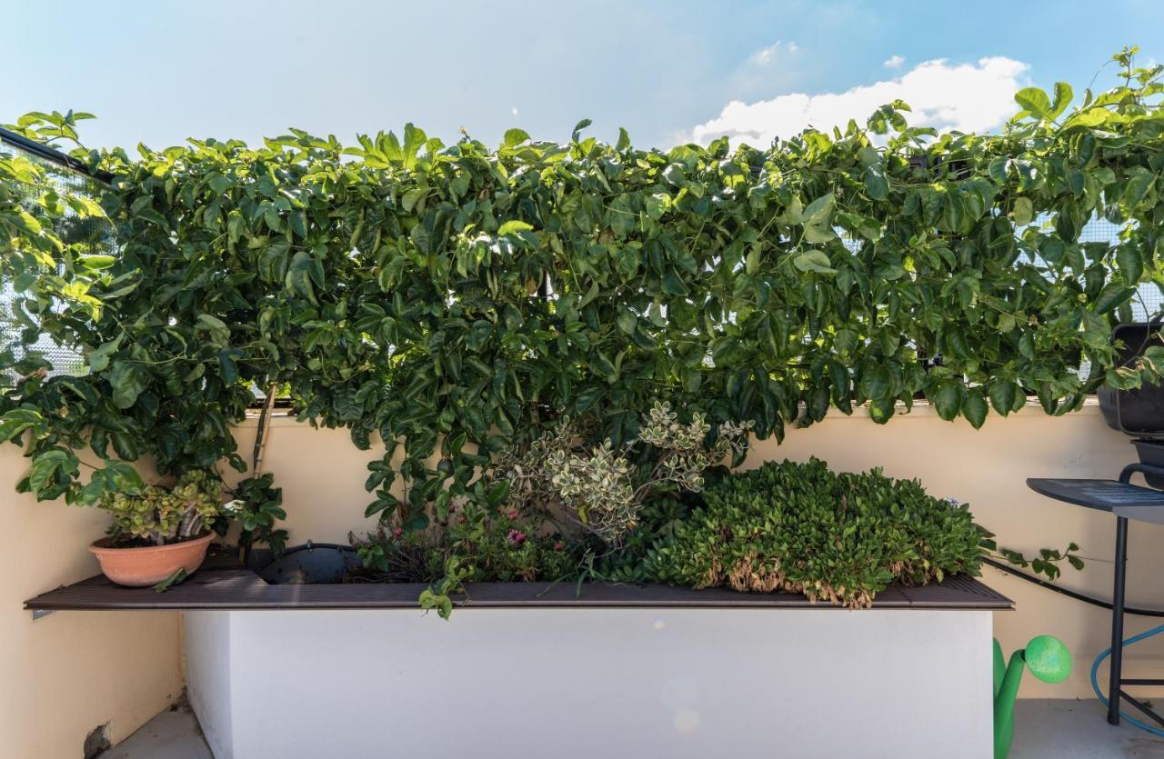 Casa Colibri - Solemar Sicilia Apartman Santa Flavia Kültér fotó